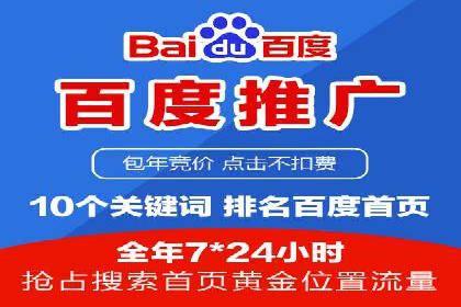 深度解析：百度竞价广告的投放效果与ROI
